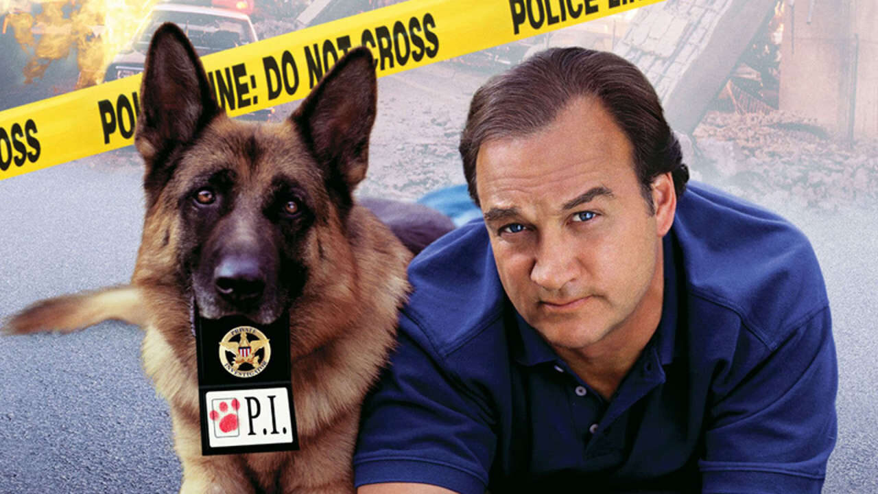 Poster of K 9 PI