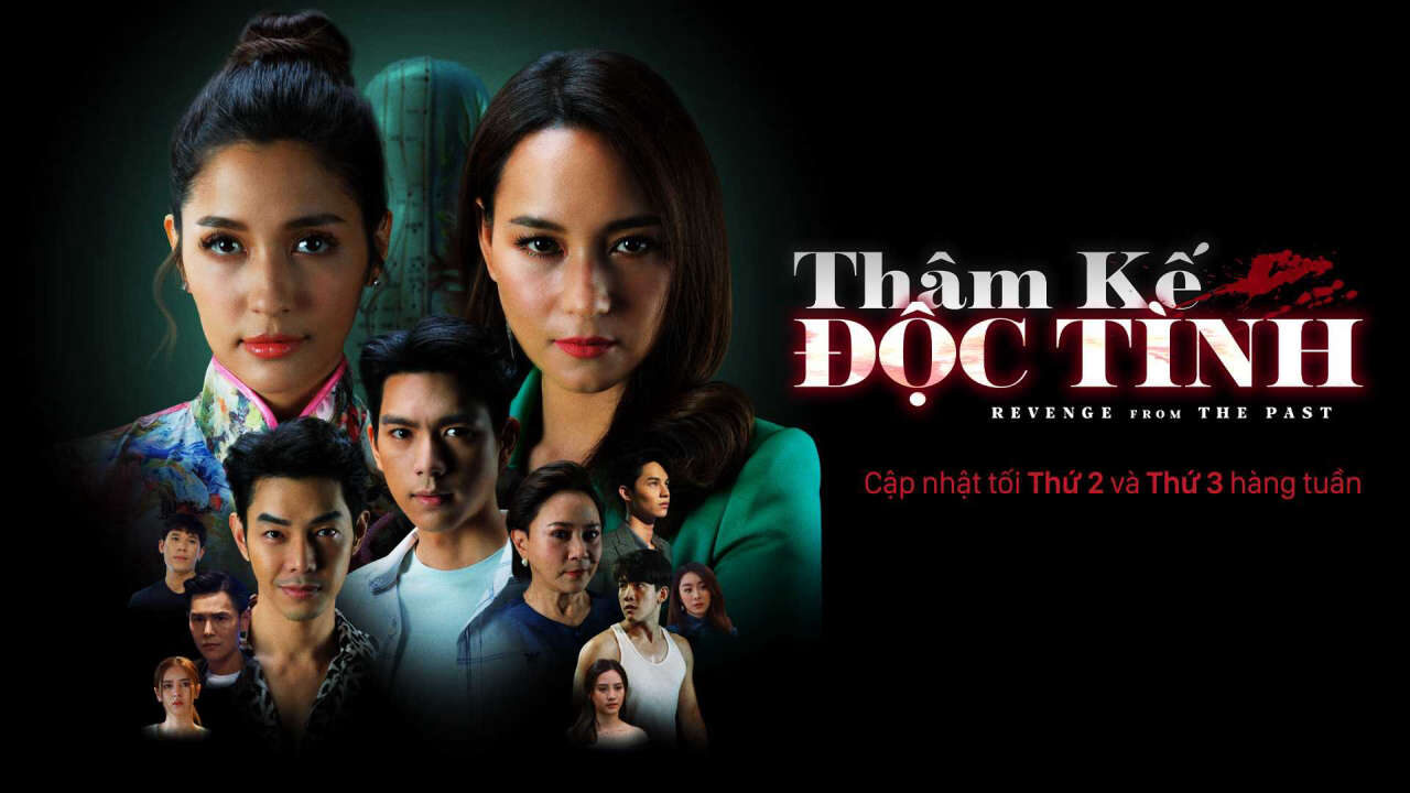 Poster of Thâm Kế Độc Tình