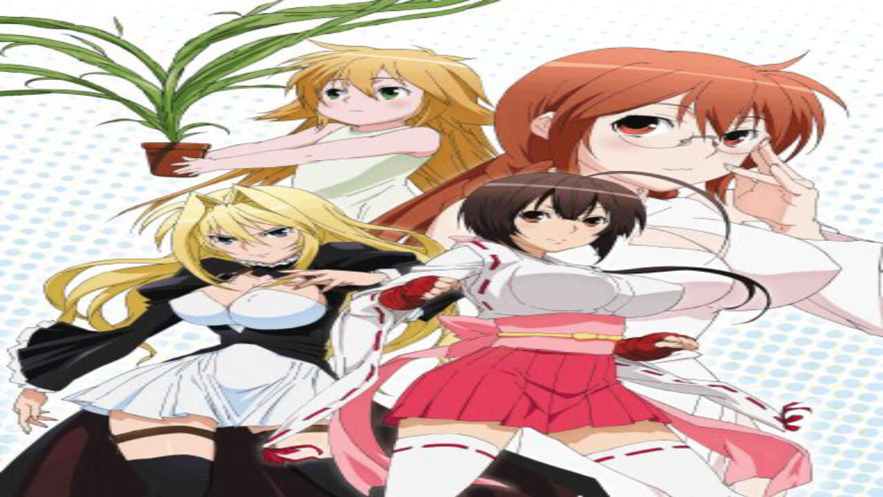 Poster of Sekirei Hajimete no Otsukai