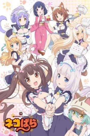 Xem phim Nekopara  - Neko Para (2020)