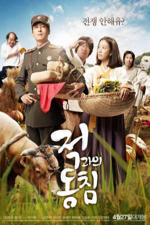 Xem phim Trong Tình Yêu Và Chiến Tranh  - 적과의 동침In Love and War (2011)