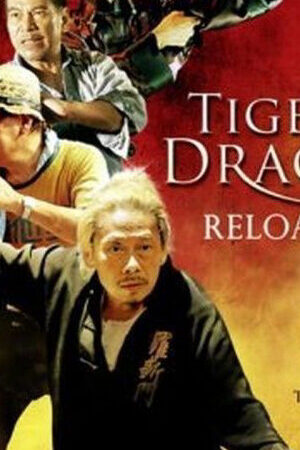 Xem phim Đả Lôi Đài  - Tiger and Dragon Reloaded (2010)