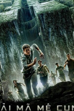 Xem phim Giải Mã Mê Cung  - The Maze Runner (2014)