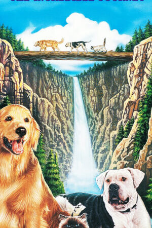 Xem phim Homeward Bound The Incredible Journey  - Homeward Bound The Incredible Journey (1993)