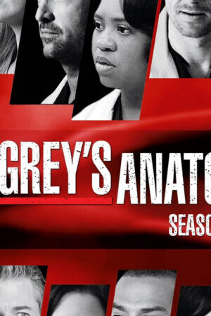 Xem phim Ca Phẫu Thuật Của Grey ( 7)  - Greys Anatomy (Season 7) (2010)