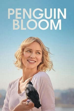 Xem phim Cánh Cụt Nhà Bloom  - Penguin Bloom (2021)