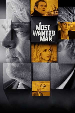 Xem phim Kẻ Truy Nã Đặc Biệt  - A Most Wanted Man (2014)