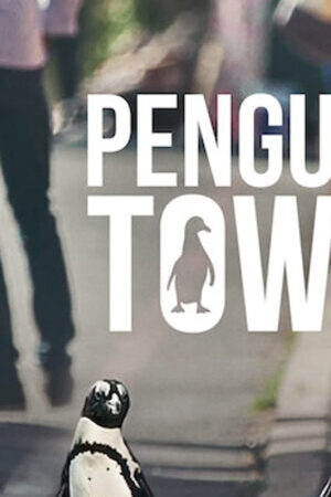 Xem phim Thị trấn cánh cụt  - Penguin Town (2021)