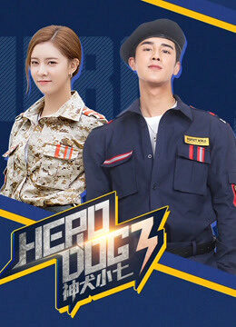 Xem phim Thần Khuyển Tiểu Thất 3  - Hero Dog (Season 3) (2019)