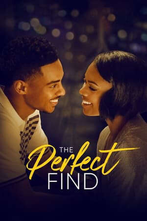 Xem phim Phát Hiện Hoàn Hảo  - The Perfect Find (2023)