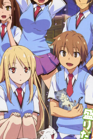 Xem phim Sakurasou No Pet Na Kanojo  - The Pet Girl of Sakurasou Blu ray (2015)