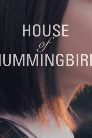 Xem phim House of Hummingbird  - House of Hummingbird (2018)