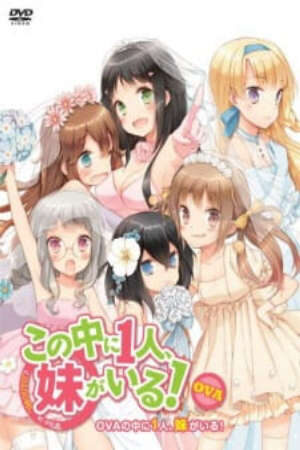 Xem phim Kono Naka ni Hitori Imouto ga Iru Ani Imouto Koibito  - Kono Naka ni Hitori Imouto ga Iru OVA Kono Naka ni Hitori Imouto ga Iru Episode 13 NakaImo One of Them is My Younger Sister OVA Who is Imouto OVA NAKAIMO My Little Sister Is Among Them OVA (2013)