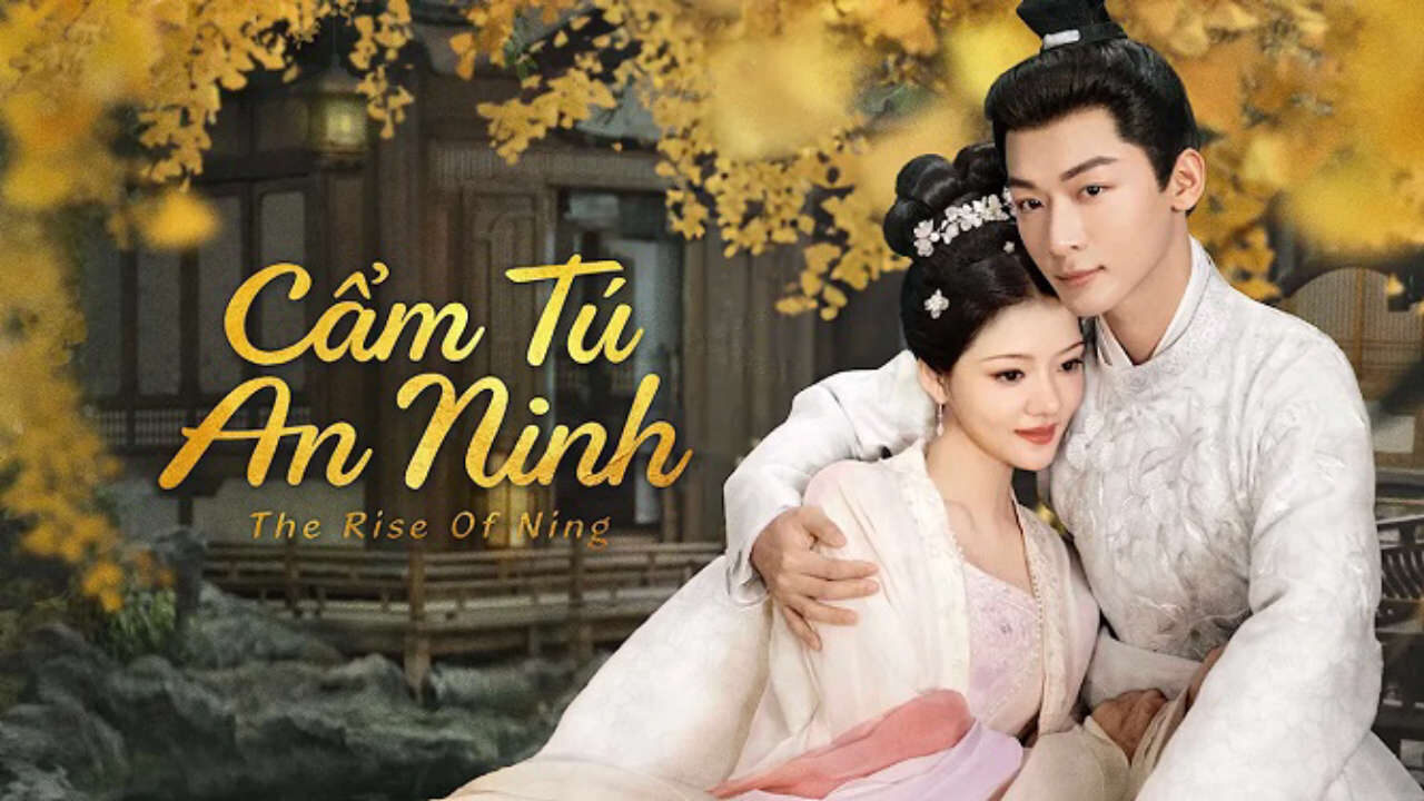 Poster of Cẩm Tú An Ninh